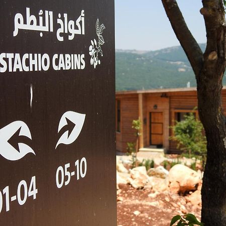 فندق محمية غابة عجلون جرش المظهر الخارجي الصورة