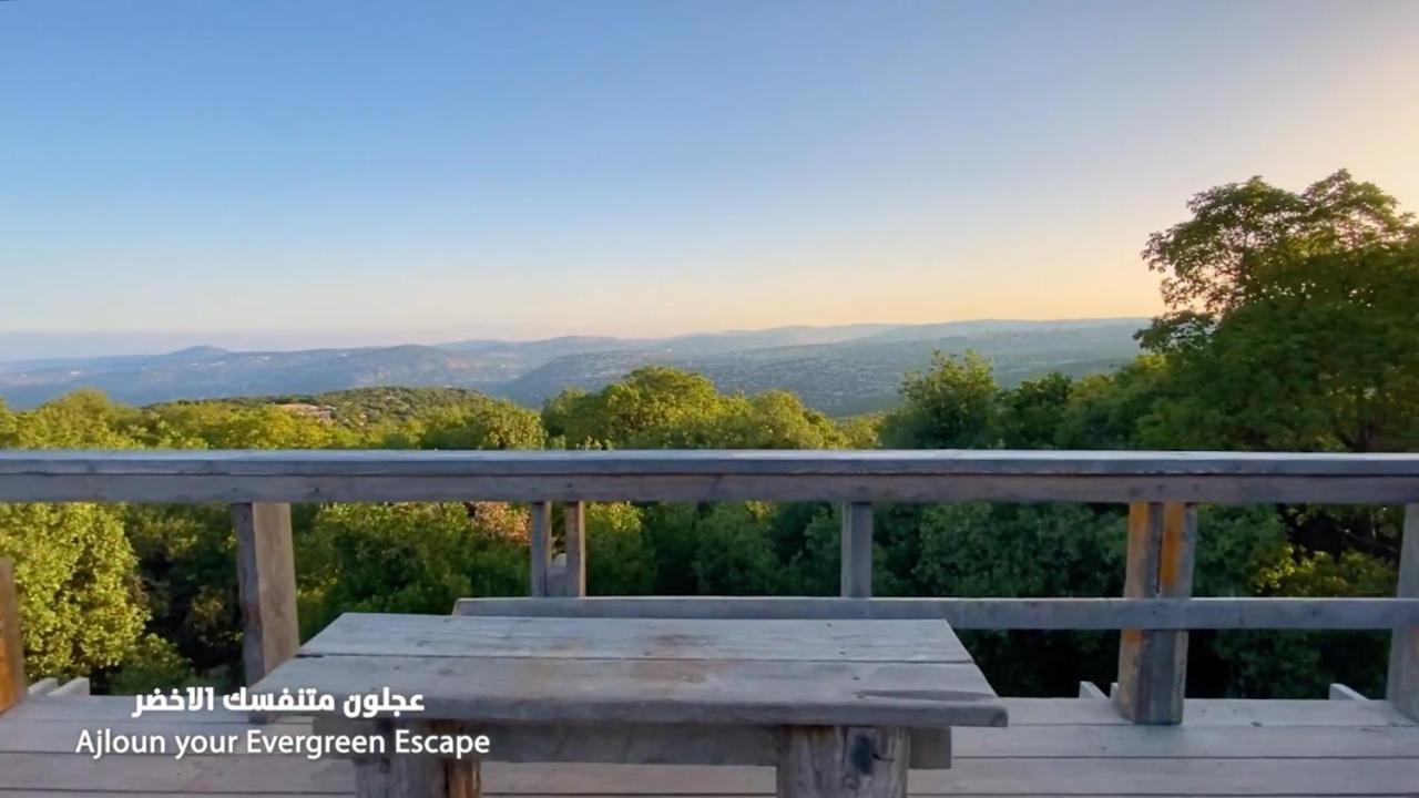 فندق محمية غابة عجلون جرش المظهر الخارجي الصورة
