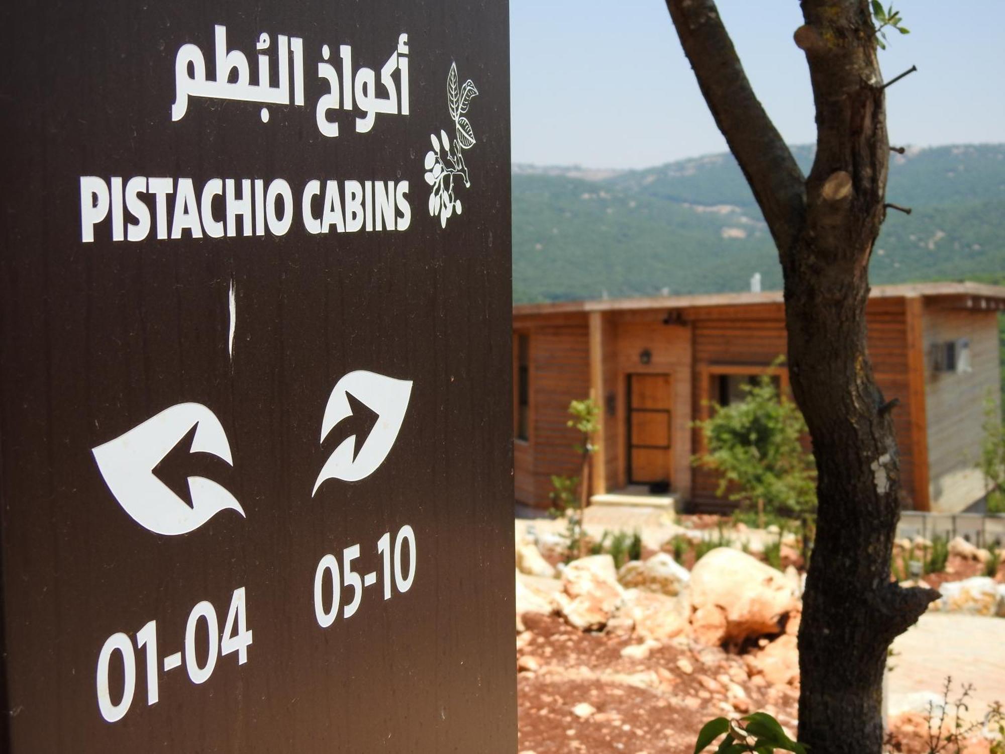 فندق محمية غابة عجلون جرش المظهر الخارجي الصورة